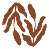 La Consciente Gracia. Healthy Brunch. Vegan. Gluten Free Bakery. logo