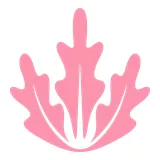 Pink Lettuce logo