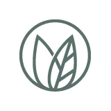 place to V logo